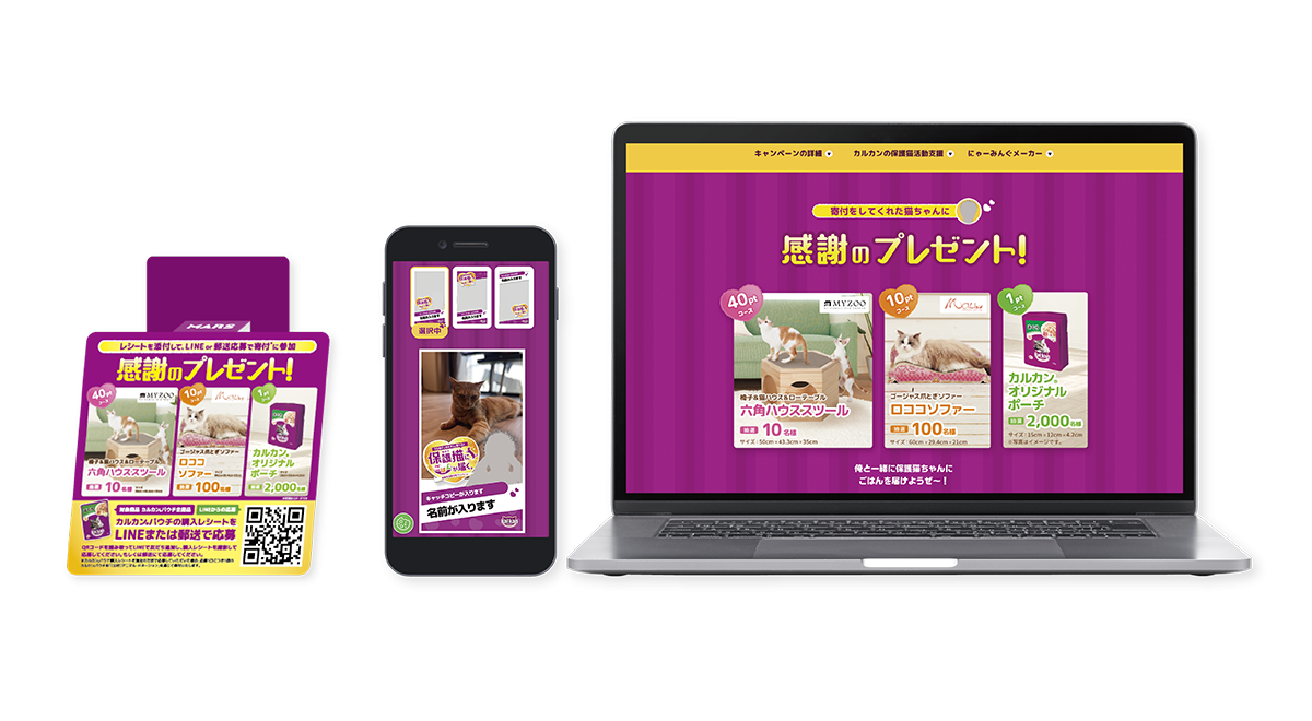 キャンペーン